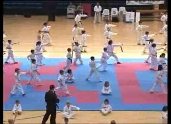 Imagen de II Gran Exhibición de Taekwondo Ciudad de Torrevieja
