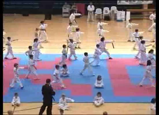 Imagen de II Gran Exhibición de Taekwondo Ciudad de Torrevieja