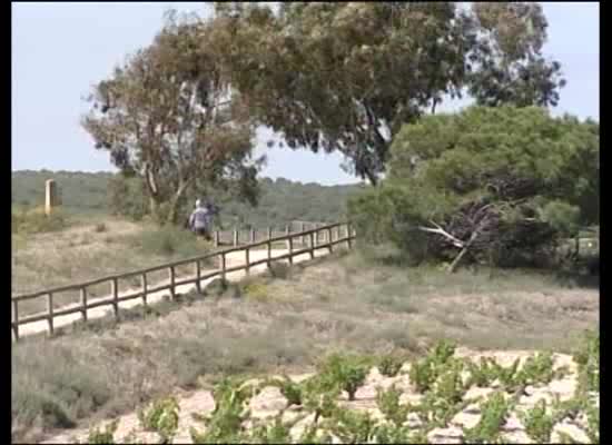 Imagen de El Parque Natural de Torrevieja celebra jornada de puertas abiertas