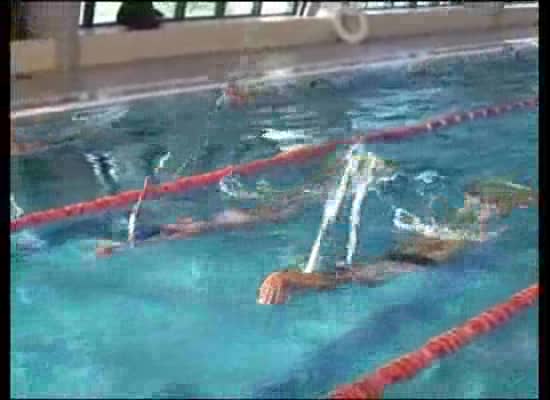 Imagen de Tres oros y un bronce para Torrevieja en el nacional de natación con aletas