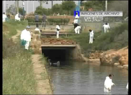 Imagen de NNGG del PP organiza una limpieza del canal del Acequión