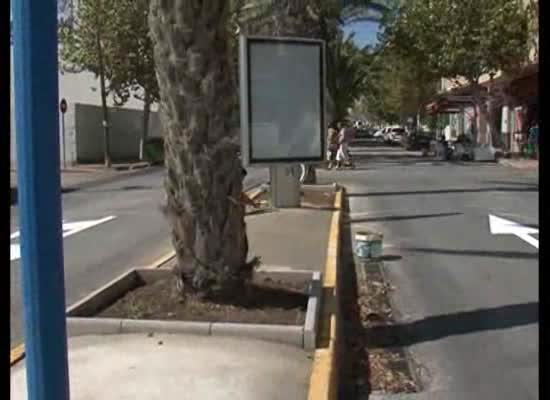 Imagen de Comienzan los trabajos de acondicionamiento en la Avenida de las Habaneras