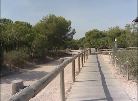 Imagen de Comienza la restauración de zonas degradas del Parque Natural