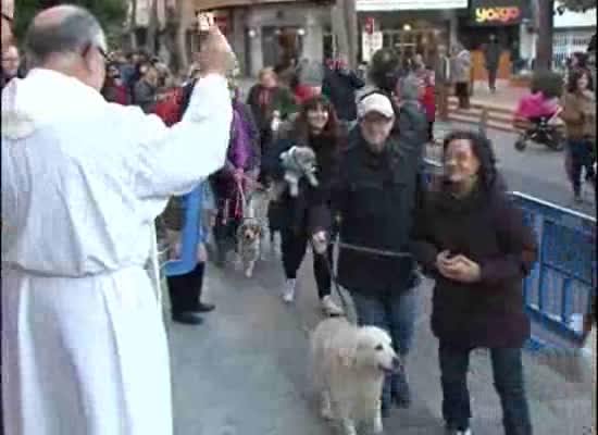 Imagen de Decenas de animales acuden a su cita el sábado para ser bendecidos en la parroquia de la Inmaculada