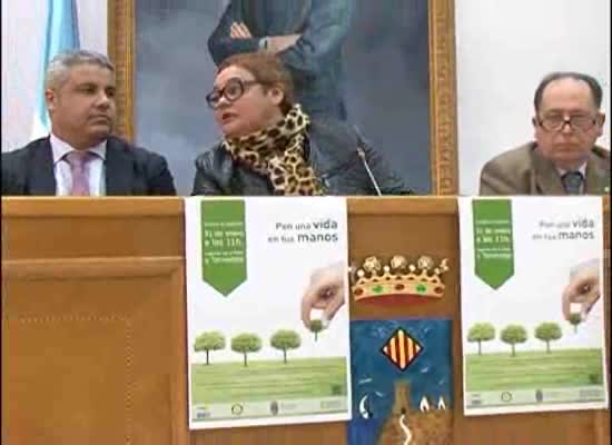 Imagen de 3000 pinos serán plantados en Torrevieja para conmemorar el Día Mundial del Arbol