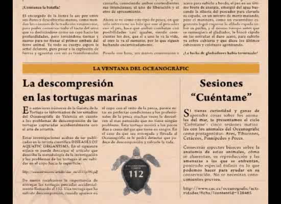 Imagen de El ayuntamiento de Torrevieja colabora con la Gaceta de la Tortuga