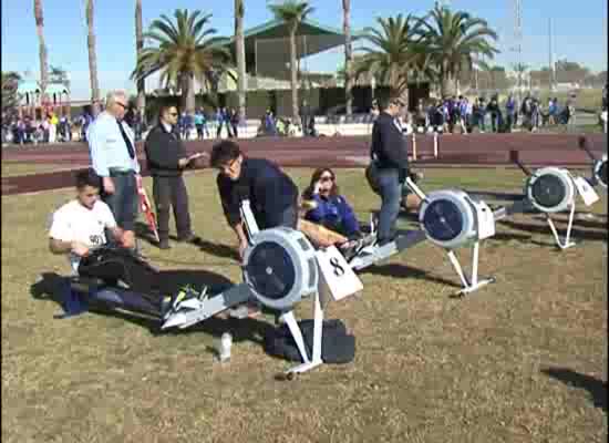 Imagen de Celebran la II Regata Promoción Torrevieja Duatlón reomoergómetro y carrera