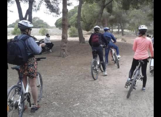 Imagen de Un grupo de periodistas de Islandia visitan Torrevieja para promocionar nuestro turismo