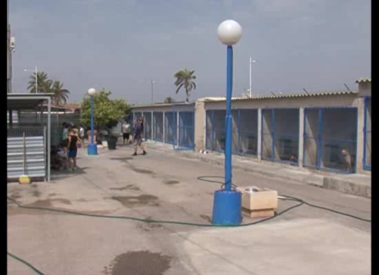 Imagen de La Perrera Municipal abre sus puertas al público para hacer visibles las instalaciones 