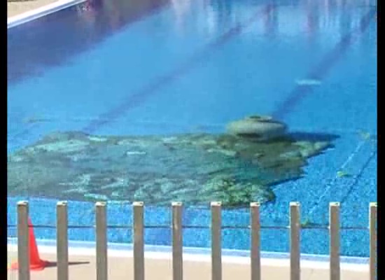 Imagen de La Piscina Municipal recrea el yacimiento arqueológico submarino más antiguo del planeta