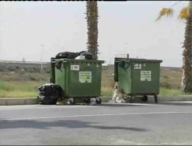 Imagen de Torrevieja no acogerá la estación de transferencia de residuos de la Comarca