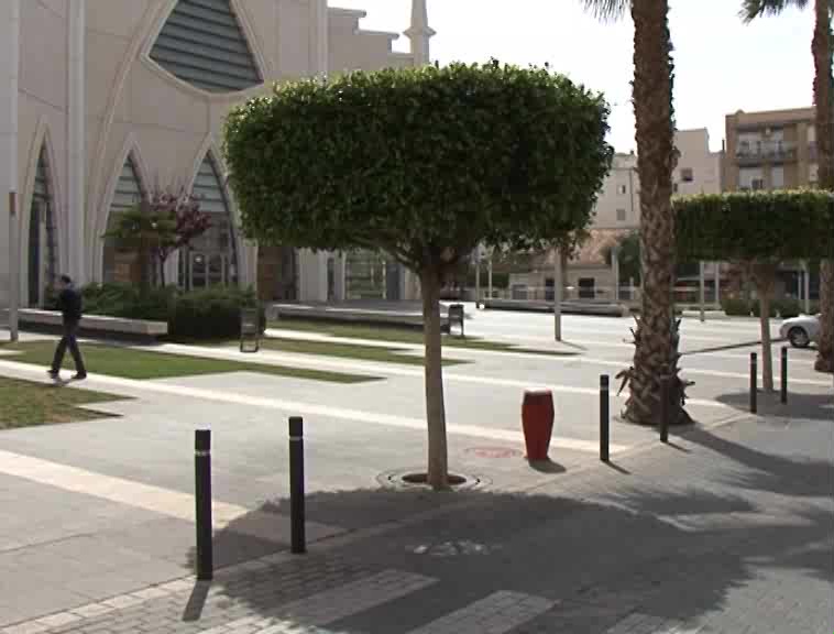 Imagen de Una plaga de chinches afecta a los ficus de la Plaza de Oriente