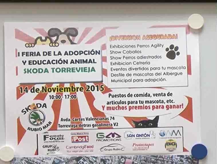Imagen de Torrevieja acogerá el sábado su I Feria de la Adopción y Eduación Animal 