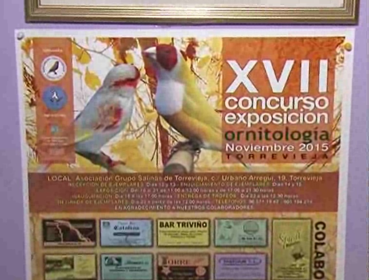 Imagen de El XVII Concurso Exposición de Ornitología acogió 547 pájaros y entregó 7 jamones y 43 trofeos