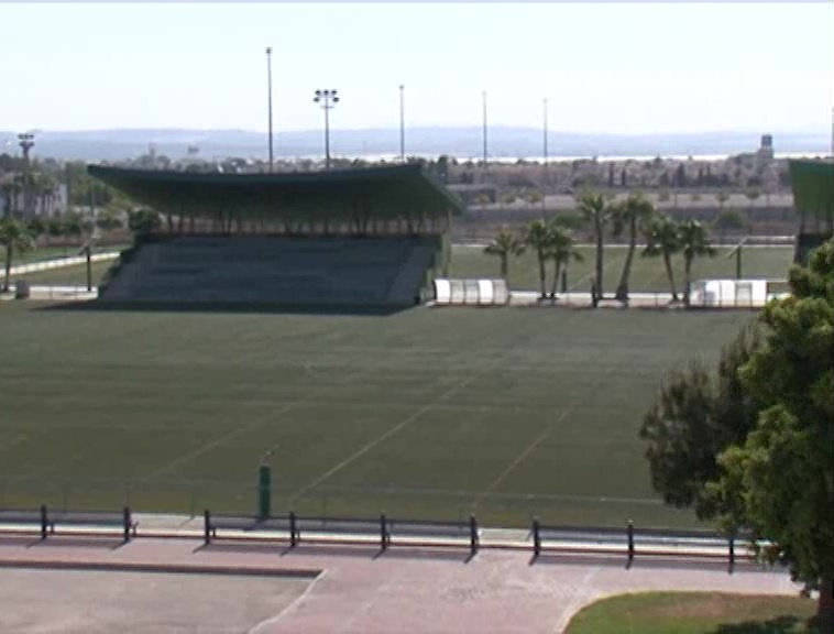 Imagen de Deportes entrega las becas y subvenciones a deportistas y clubes de Torrevieja