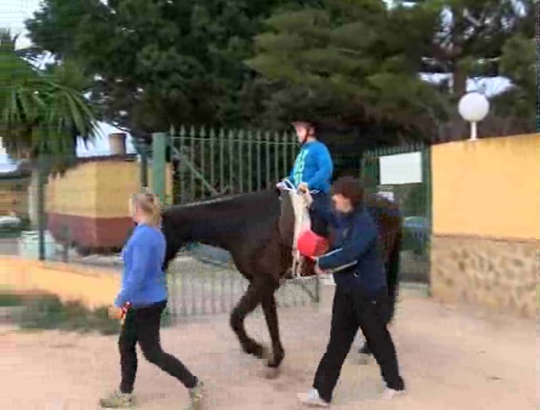 Imagen de Sesiones de Terapia Asistida a Caballo con Fisioterapeuta para alumnos de APANEE y ALPE