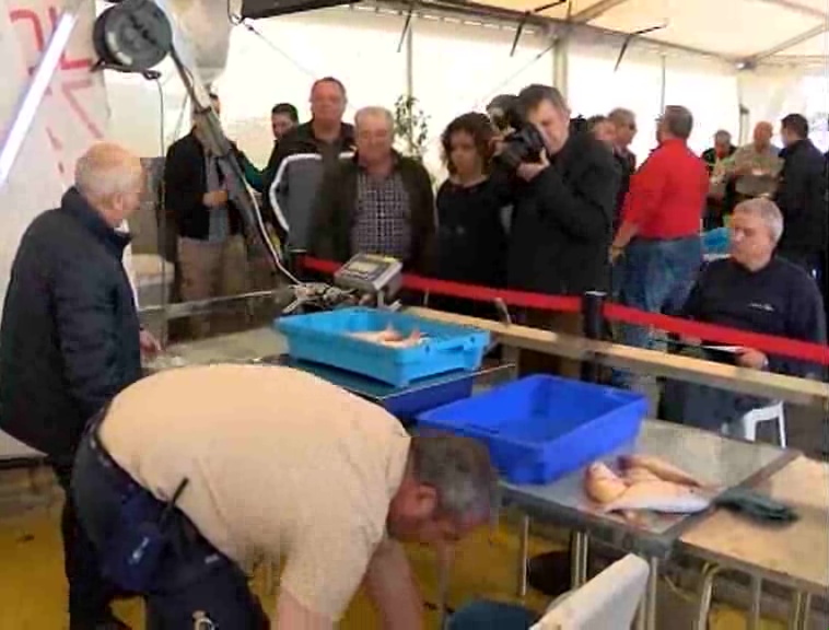 Imagen de Los pescadores del Concurso de Pagel 50 Aniversario del R.C.N.T. capturaron más de 300 kilos