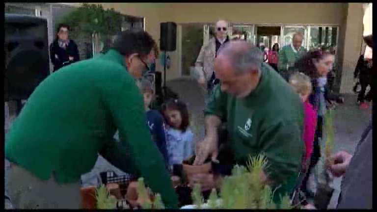 Imagen de El ayuntamiento entrega pinos a los alumnos que deberán cuidar durante un año