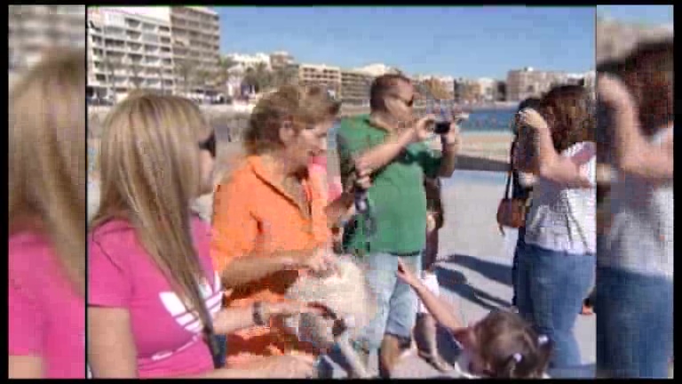 Imagen de Observación del tránsito de Mercurio. Un fenómeno que se produce 13 veces cada siglo