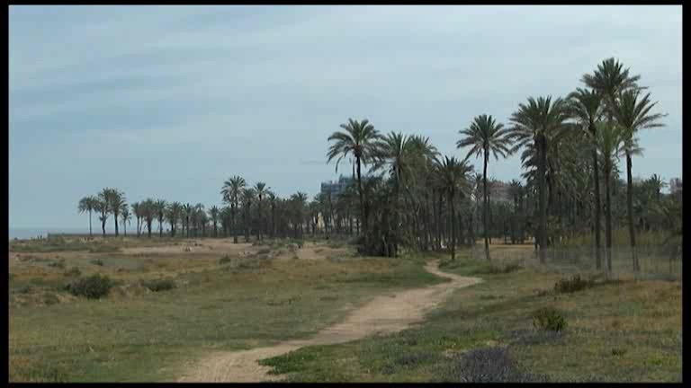 Imagen de Sueña Torrevieja se opone al amurallamiento que se pretende realizar en Lo Ferris