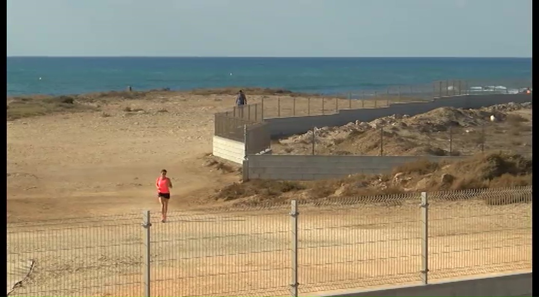 Imagen de “Salvemos Lo Ferrís” pide el deslinde de la cañada real y un estudio ecológico del palmeral