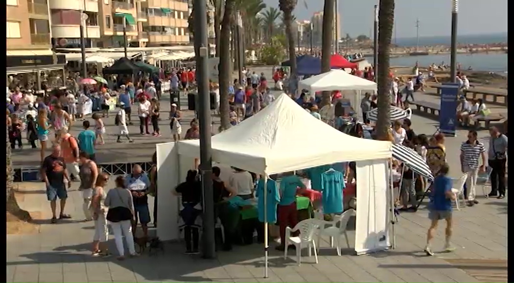 Imagen de Asociaciones y ONG’s de Torrevieja se reúnen en una feria para darse a conocer