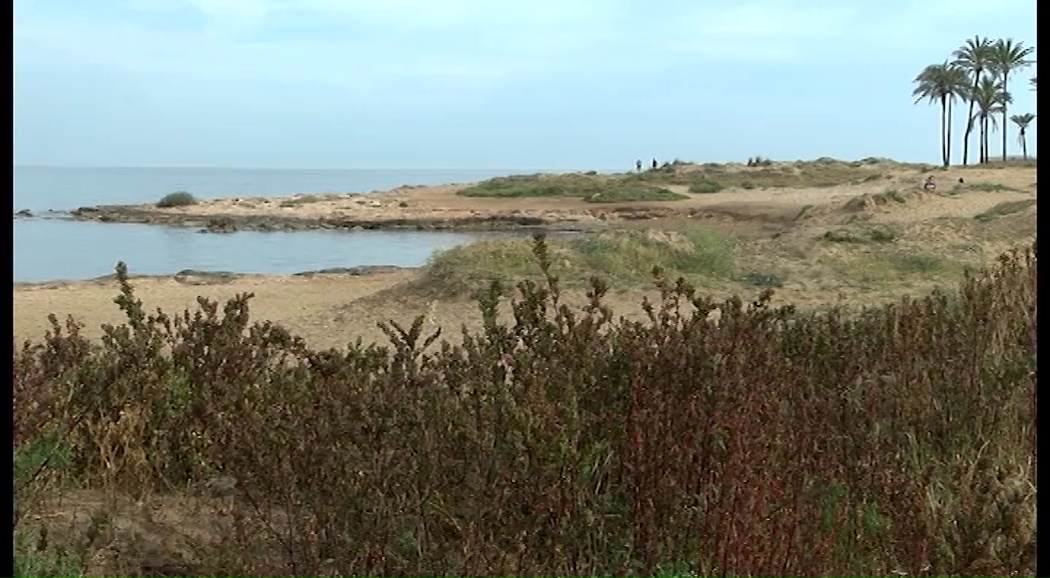 Imagen de “Salvemos Lo Ferrís” celebra que el Consell blinde el paraje frente a la 