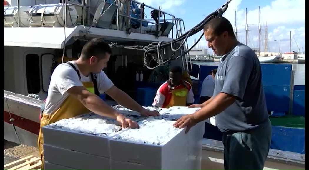 Imagen de Pesca quiere promocionar el pescado azul como 