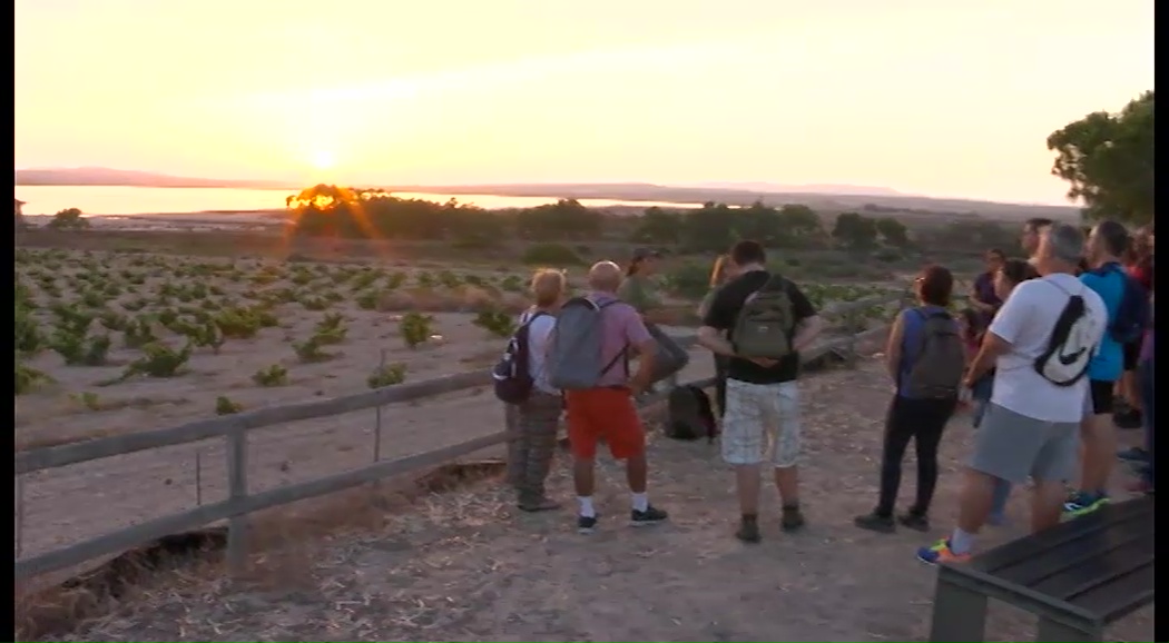 Imagen de Ruta ecológica para conocer los hábitat del Parque Natural