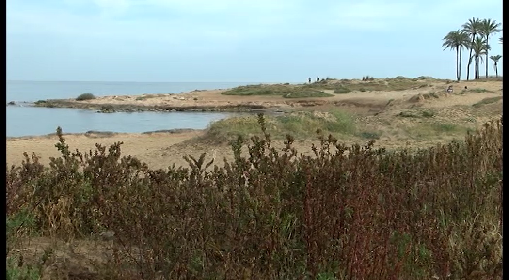 Imagen de La ubicación de la Playa para perros será sometida a consulta popular