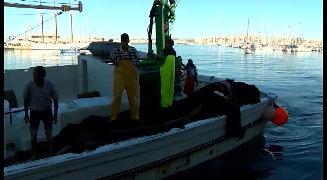 Imagen de Torrevieja explora vías para llevar a cabo la 