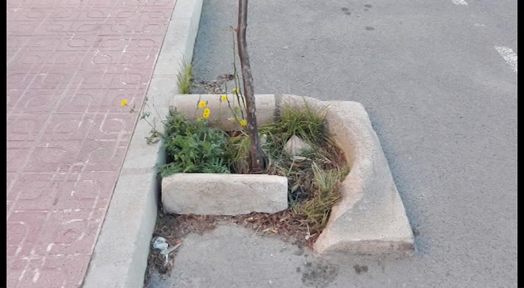 Imagen de Vecinos de La Mata denuncian el estado de abandono que sufre la Avenida de Francia