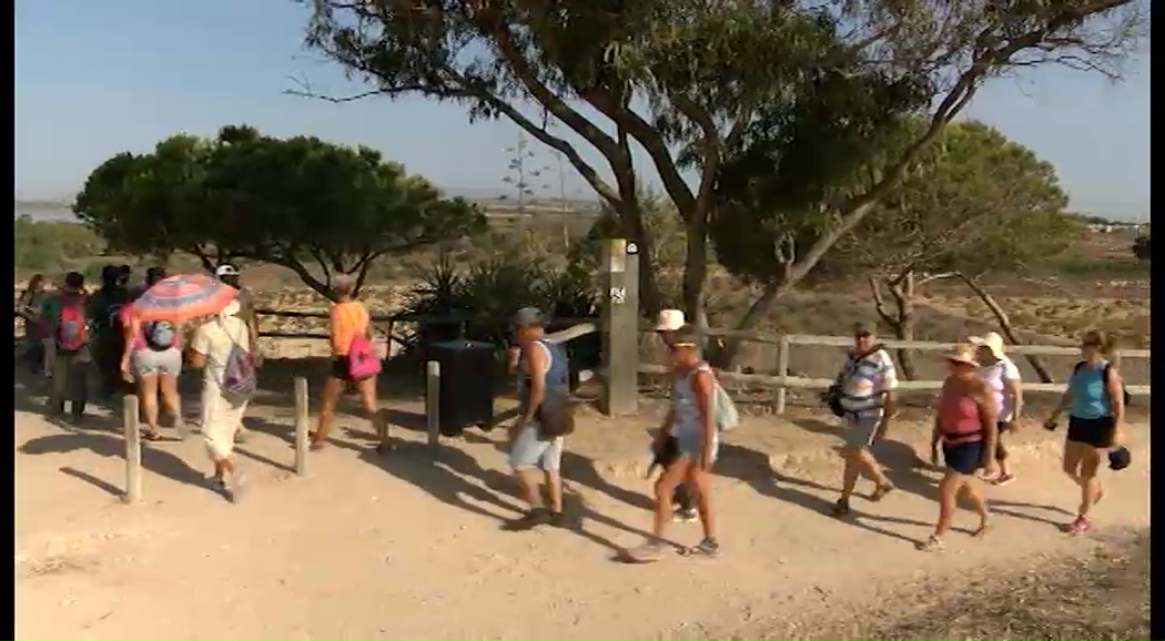 Imagen de Torrevieja se unirá al Día Mundial de los Humedales el 5 de febrero con una visita guiada