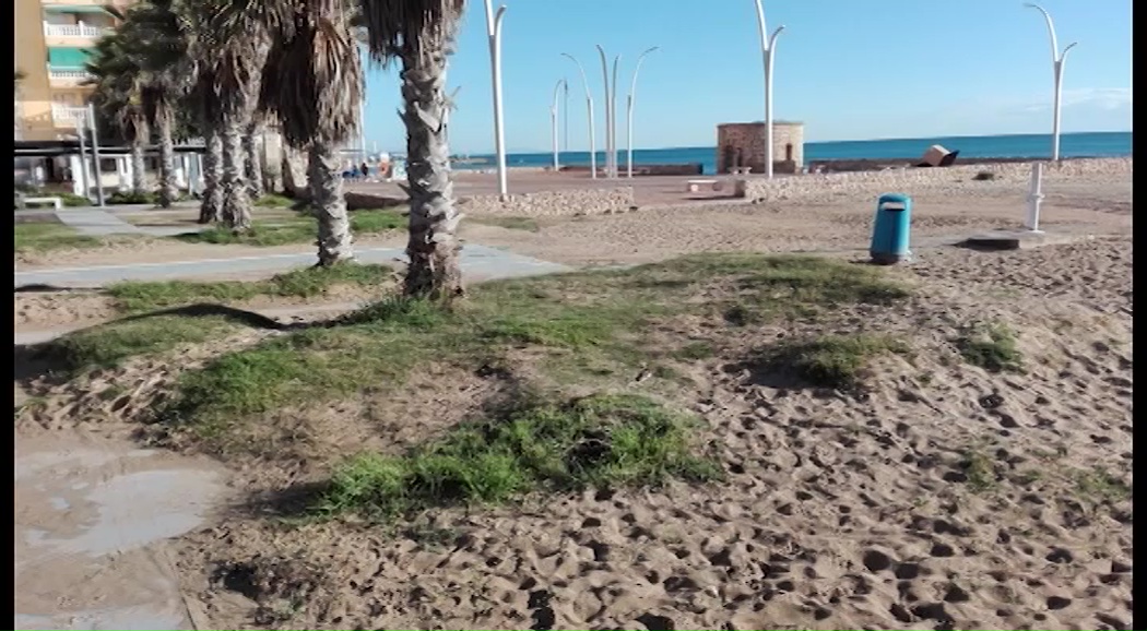 Imagen de La PIM denuncia el abandono total de la pedanía en materia de parques y jardines