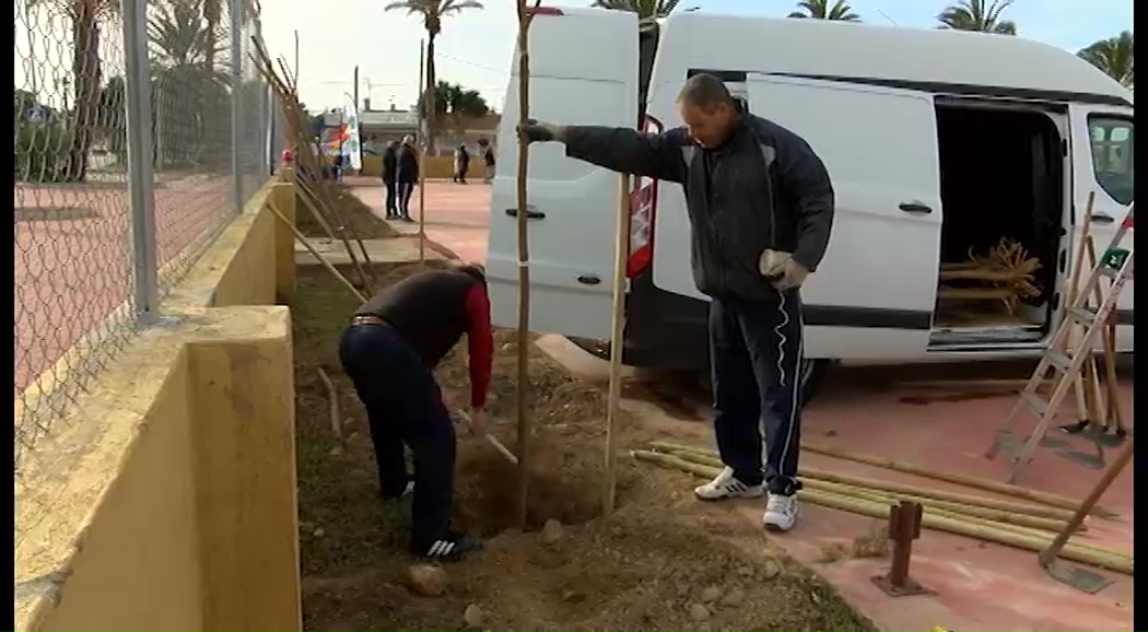 Imagen de Un centenar de personas planta 50 moreras en la zona deportiva de la Torreta II