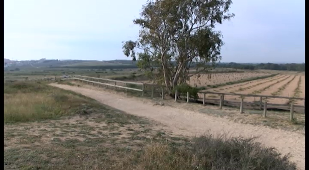 Imagen de Nueva actividad de educación ambiental en nuestra Parque Natural: Plantación extrema