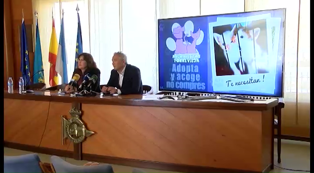 Imagen de Un spot de Animalistas Torrevieja promocionará las adopciones de animales del albergue