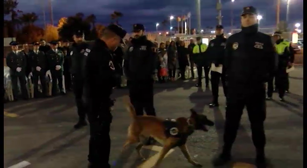 Imagen de Policía local cuenta con dos nuevos guías caninos