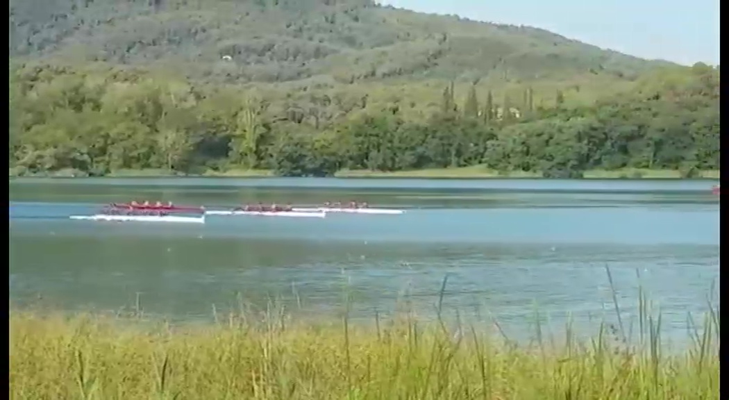 Imagen de 4 jóvenes remeros torrevejenses , campeones de España