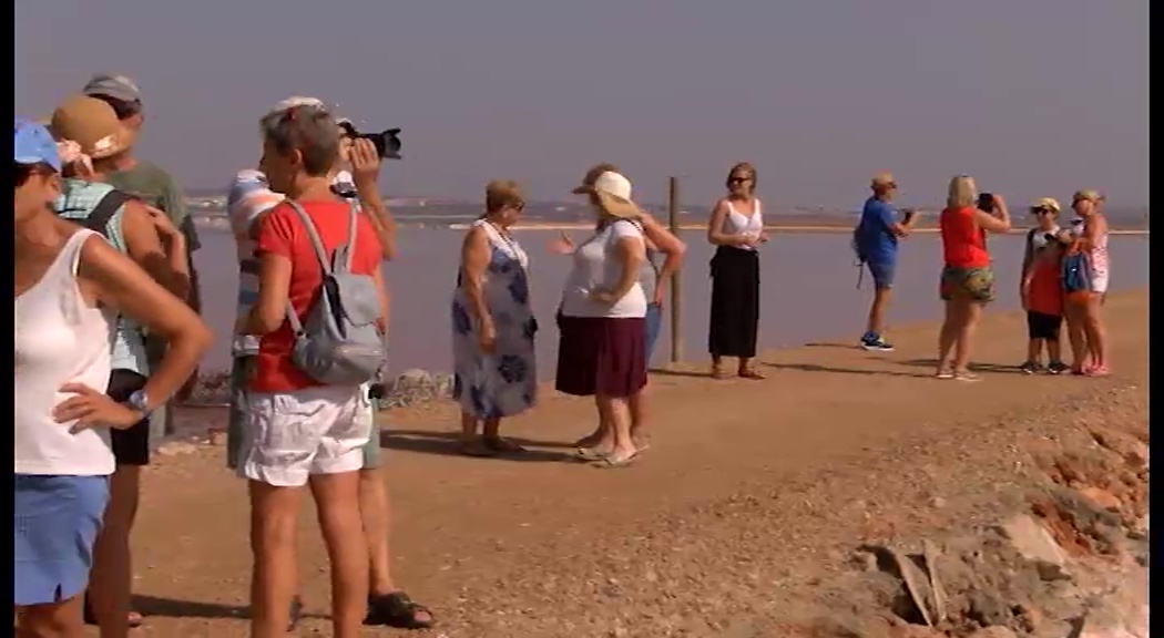 Imagen de Las Salinas de Torrevieja acogen la primera ruta turística guiada como experiencia piloto