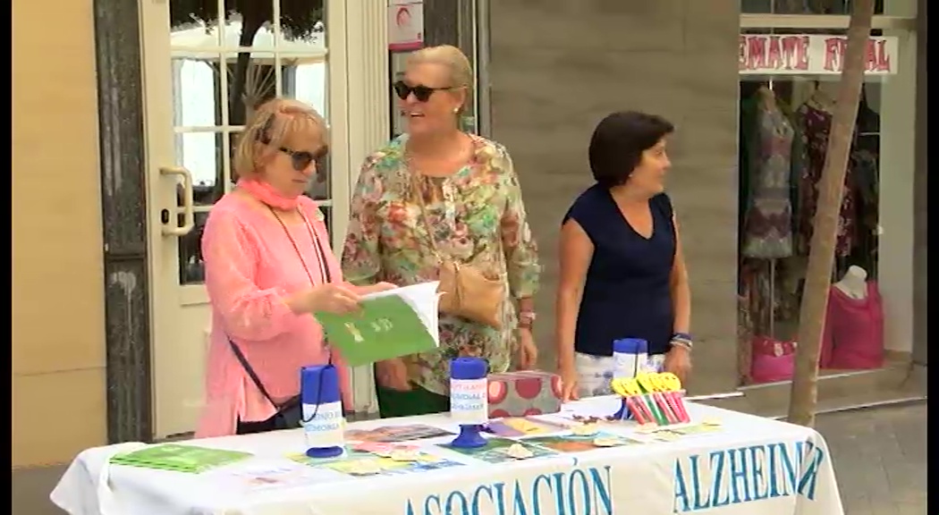 Imagen de Los torrevejenses colaboran con AFA a través de las huchas solidarias