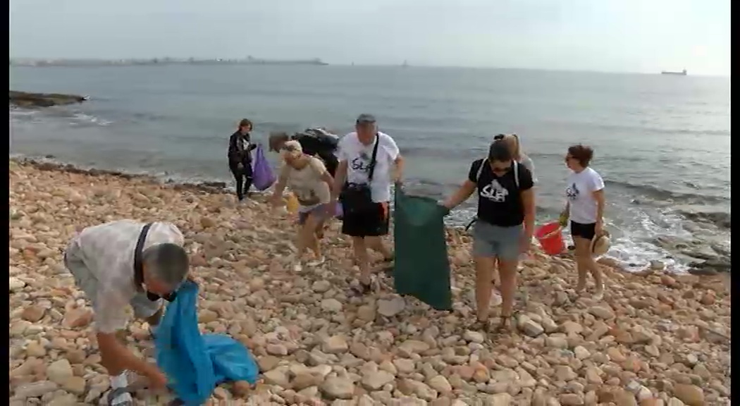 Imagen de “Salvemos Lo Ferrís” recoge 20 kilos de residuos en una hora y en 500 metros cuadrados