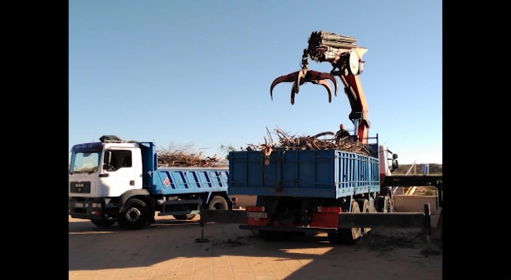 Imagen de Se inician los trabajos de retirada de arbolado quemado del parque municipal Molino del Agua