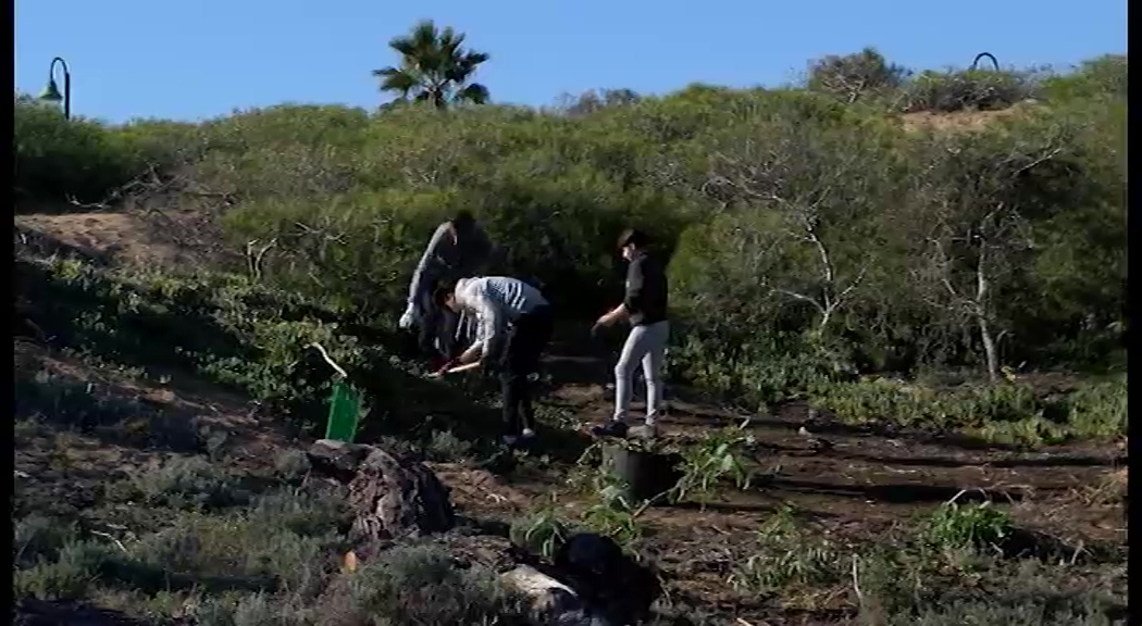 Imagen de Continúan los trabajos de restauración ambiental en el Paraje Natural Municipal “Molino del Agua”