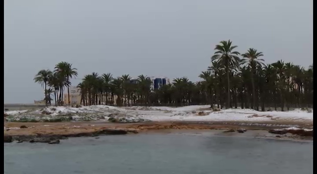 Imagen de Se cumple un año de la famosa nevada en Torrevieja un 18 de enero de 2017