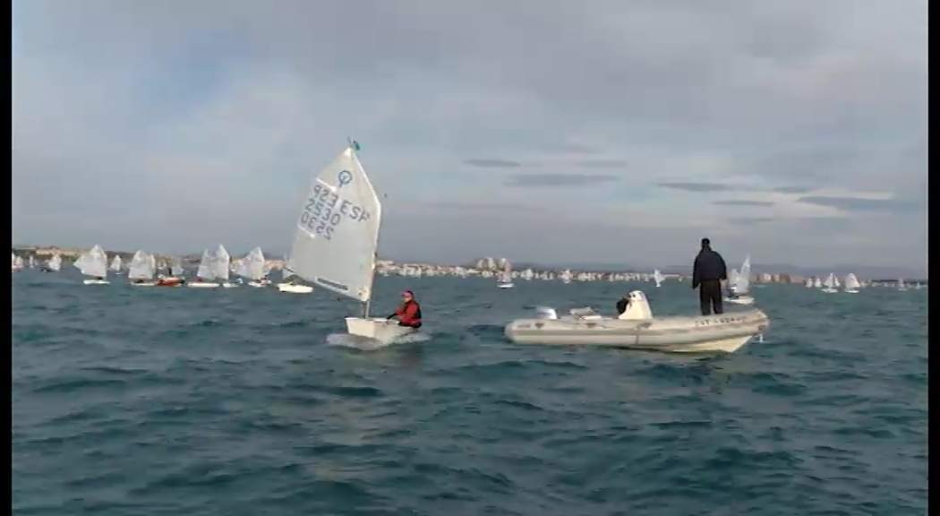 Imagen de Torrevieja acogerá La XI Regata Internacional de Optimist del 26 al 28 de enero