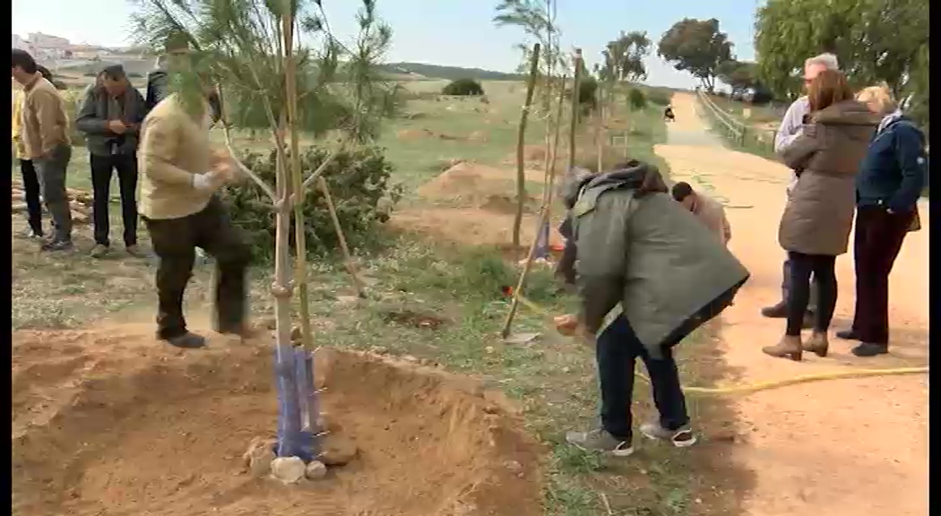 Imagen de El Parque Natural planta 200 árboles para recuperar el paisaje y la agricultura de años atrás