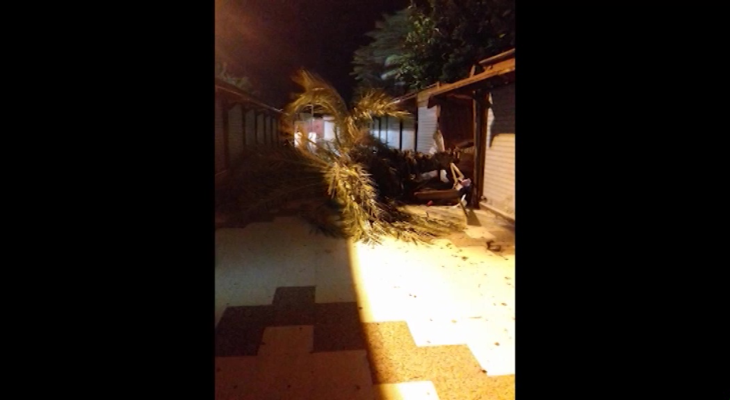 Imagen de El viento provoca el desplome de una palmera sobre una caseta del Paseo de los Hippies.