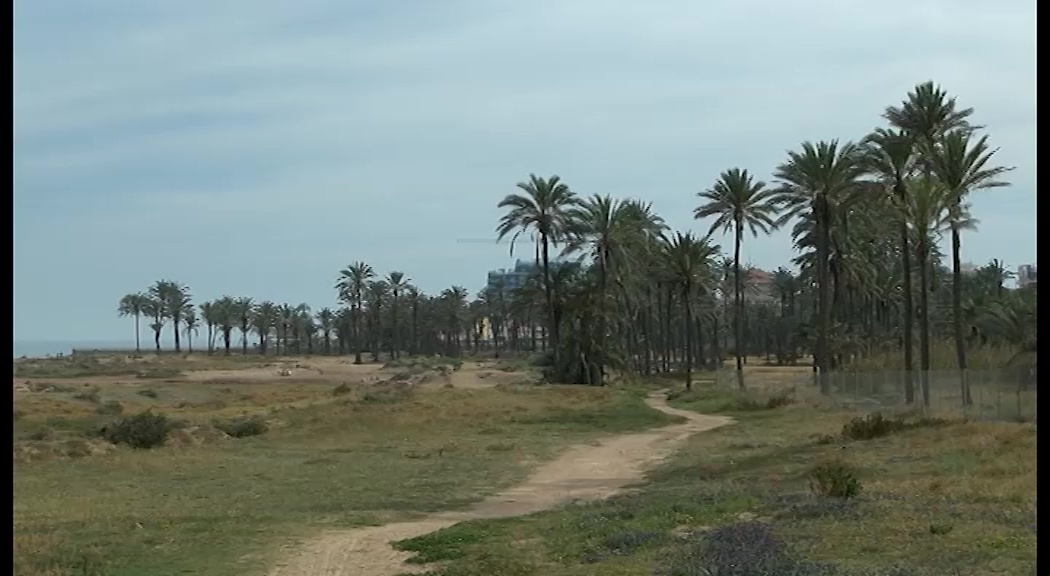 Imagen de “Salvemos Lo Ferrís” presenta alegaciones para que se mantengan los 75 metros de anchura de la Cañada