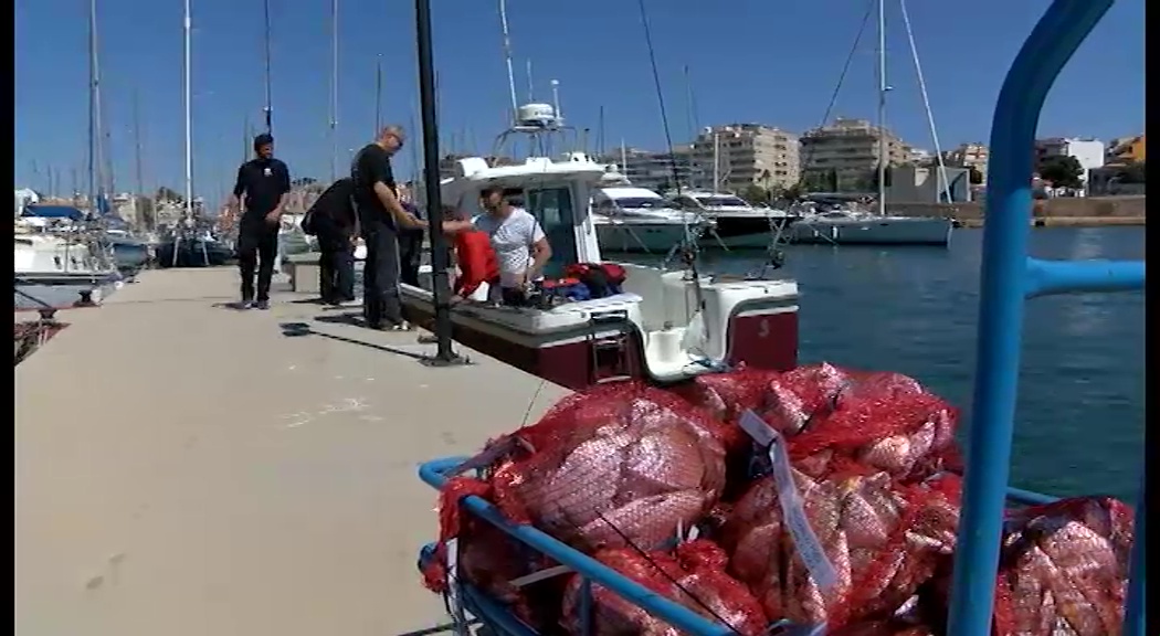 Imagen de II Open Internacional embarcación fondeada en Marina Internacional